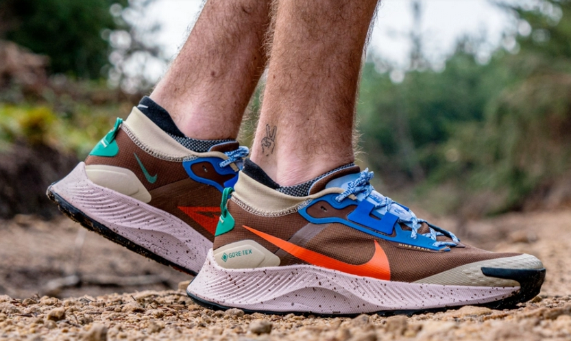 nike-pegasus-trail-3-gore-tex-185lil.png